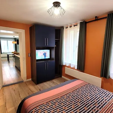 Coeur De - Parking Privé - Gare à 200m Appartement Saverne